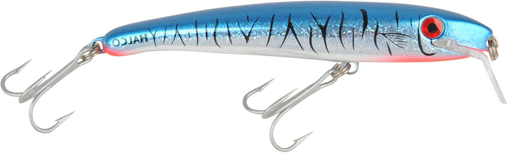 Baitfish