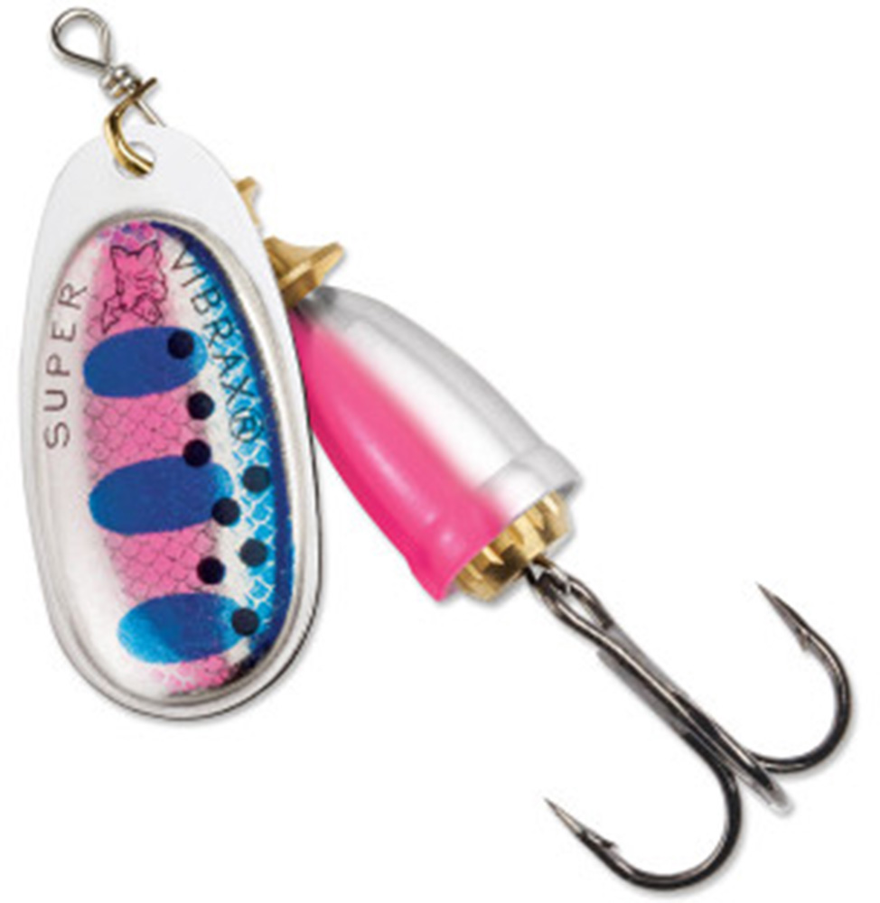 Rainbow Trout