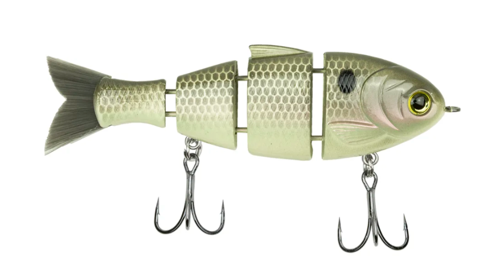 https://mcproductimages.s3-us-west-2.amazonaws.com/catch-co/bucca-baby-bull-shad/gizzard-shad.png