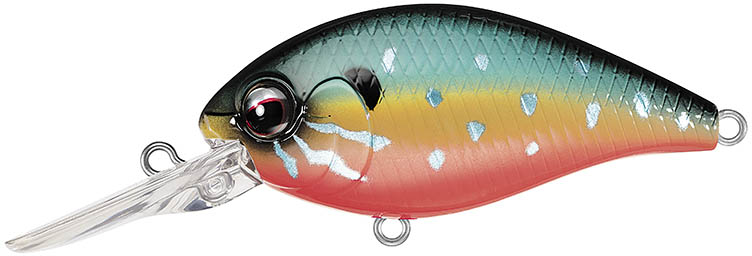 Evergreen International CR-10 Deep Diving Crankbait - Picture 15 of 16