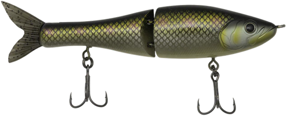 Golden Shiner