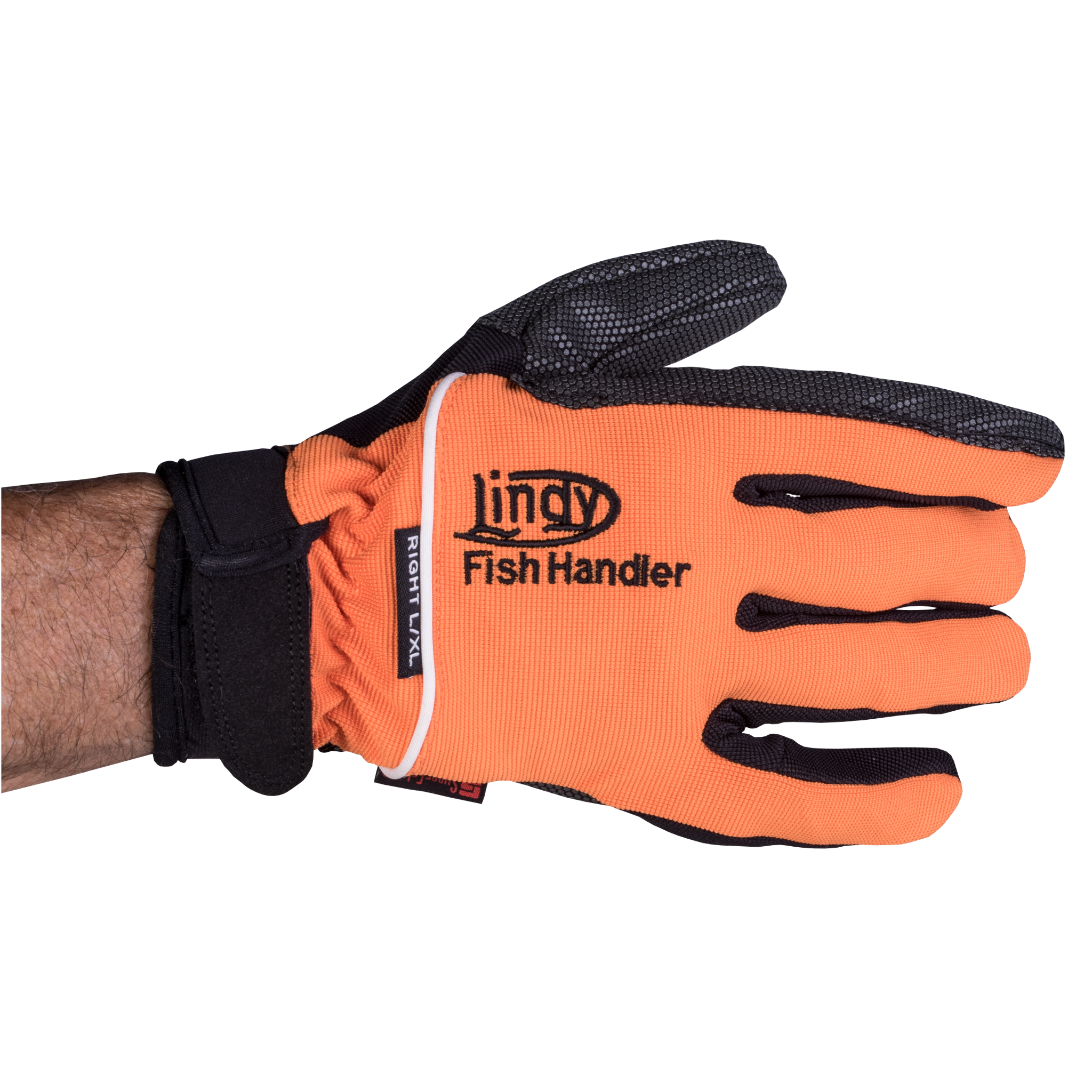 https://mcproductimages.s3-us-west-2.amazonaws.com/lindy/lindy-%20Fish-Handling-Glove-Orange/AC951.png