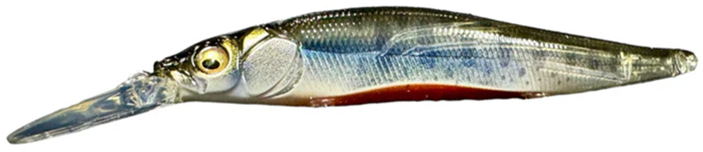 Baby Trout
