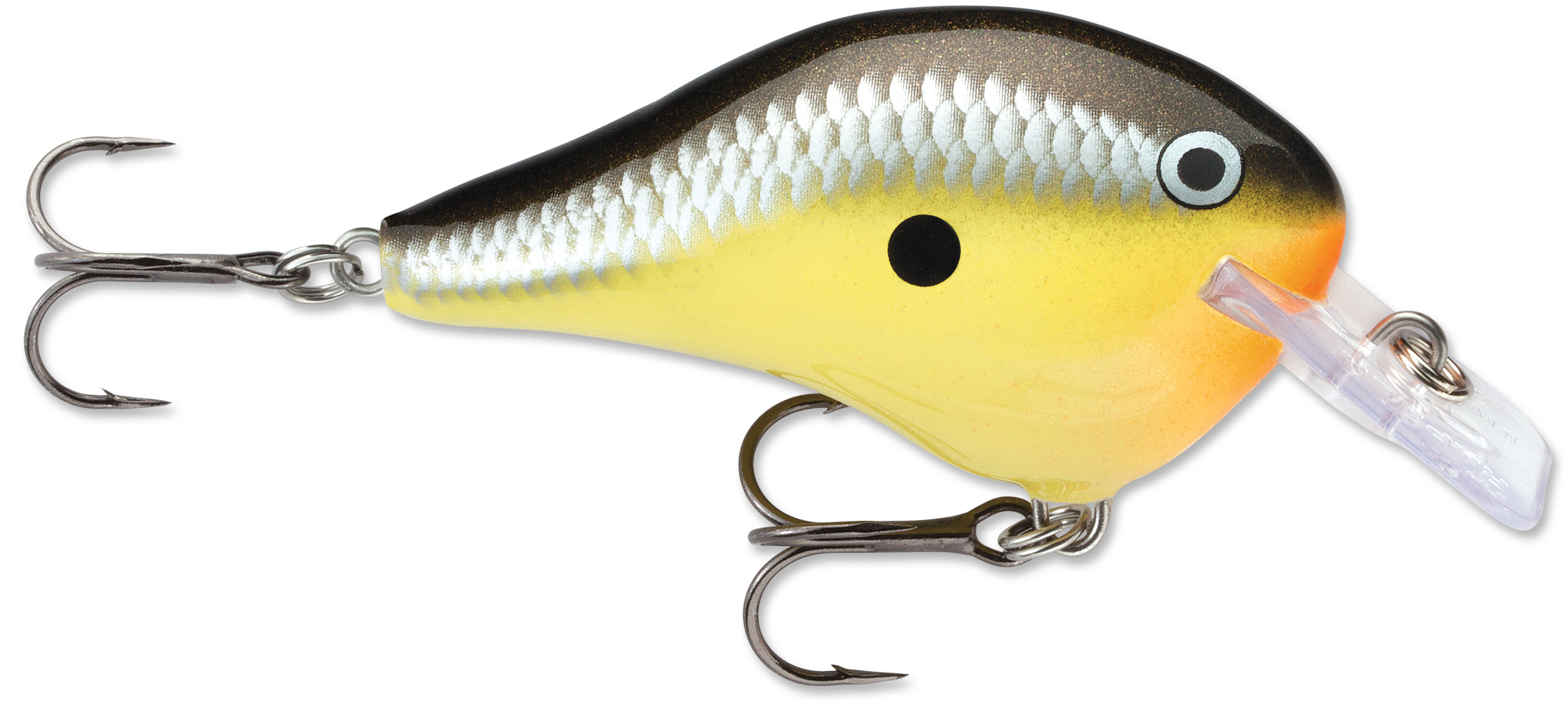 Rapala DT Fat 03 Shallow Square Bill Crankbait Balsa Bass & Walleye Fishing  Lure