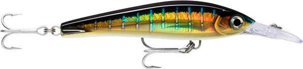 Rapala X-Rap Magnum Xtreme XRMAGXT160 Trolling Lure - Picture 10 of 14