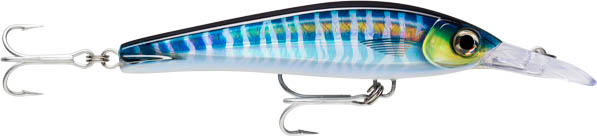 Rapala X-Rap Magnum Xtreme XRMAGXT160 Trolling Lure - Picture 13 of 14