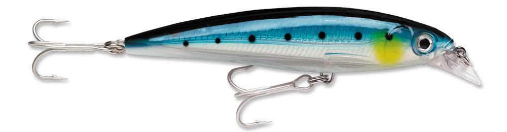 Blue Sardine