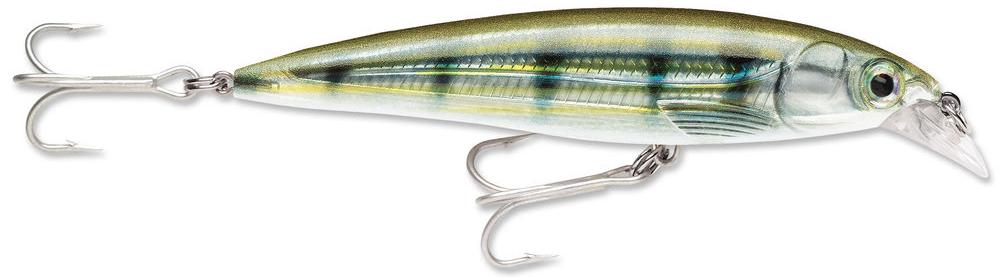 Pinfish