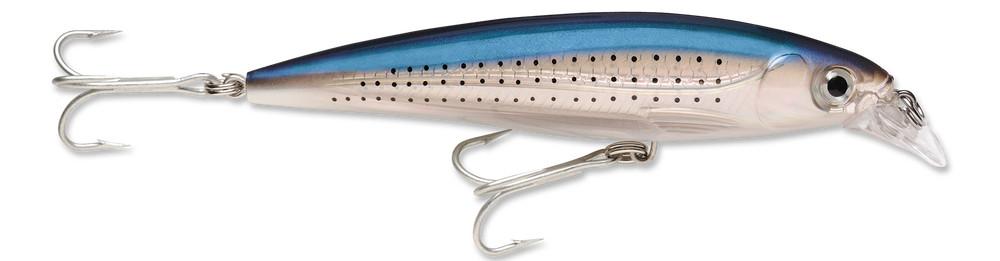Spotted Minnow
