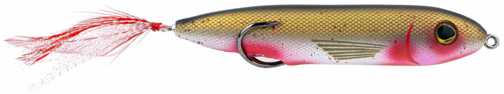 Bloddy Shad
