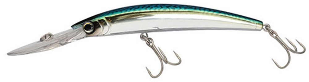 Green Mackerel