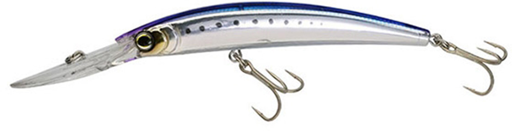 Sardine