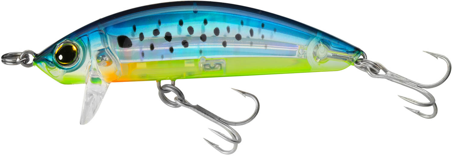  DUEL R1215-HGBL 3D Inshore Surface Minnow, Color, Gold Black,  90mm 3-1/2 : Sports & Outdoors